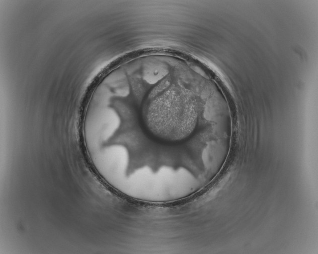 X0000113600783200910091520