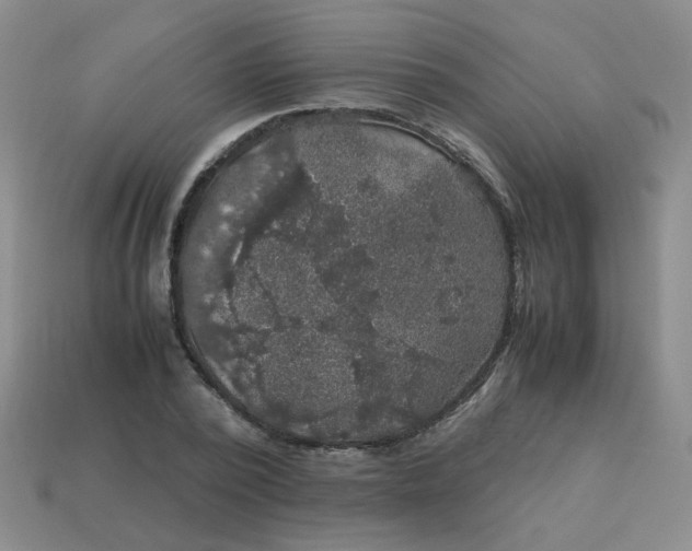 X0000113600784200910091520