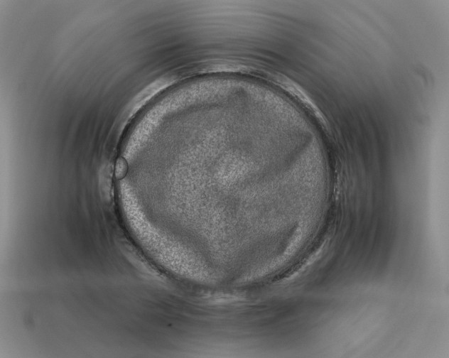 X0000113600786200910091520