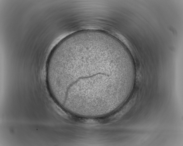 X0000113600787200910091520