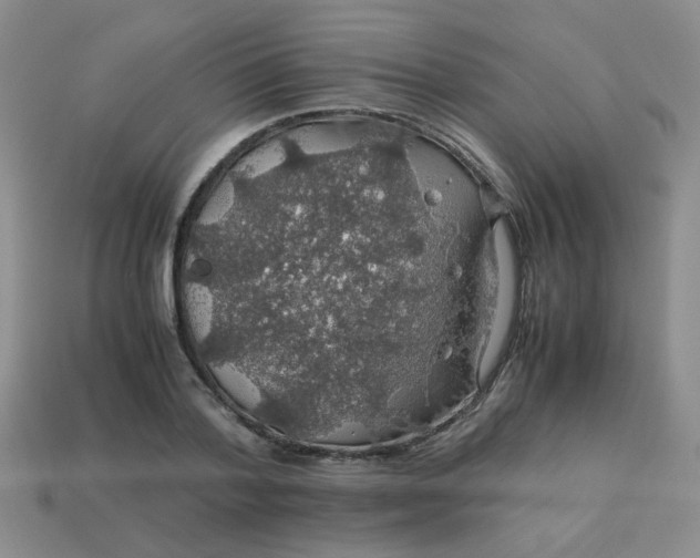 X0000113600788200910091520