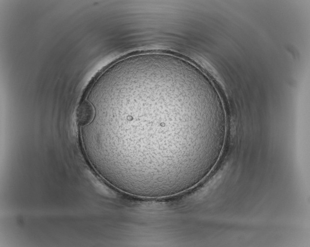 X0000113600789200910091520