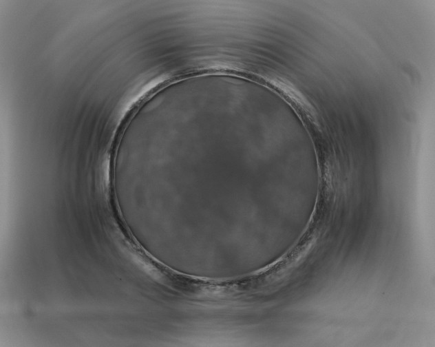 X0000113600790200910091520