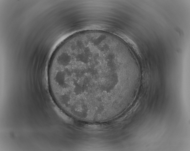 X0000113600792200910091519