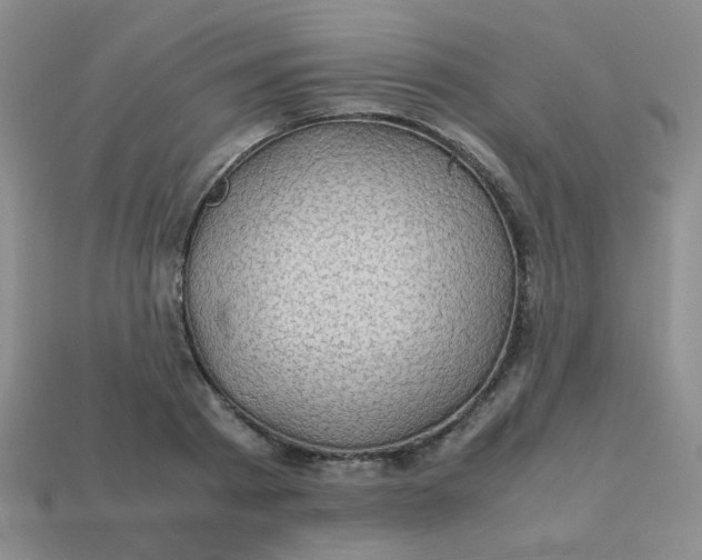 X0000113600793200910091519