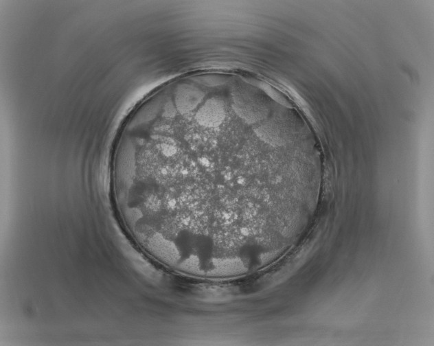 X0000113600795200910091519