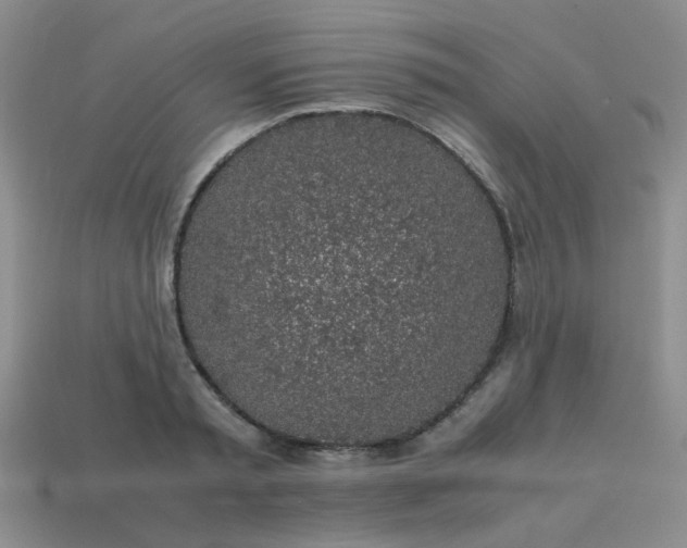 X0000113600797200910091519