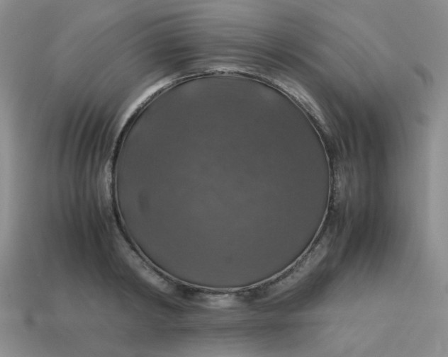 X0000113600798200910091519