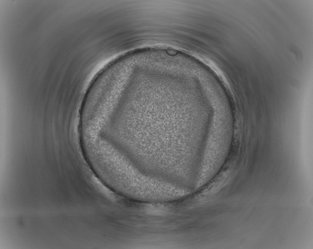 X0000113600799200910091519