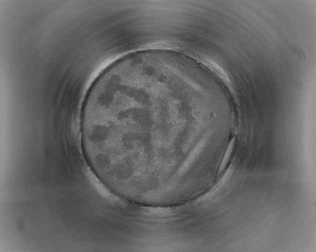 X0000113600800200910091519