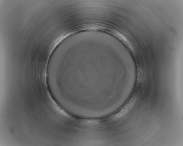 X0000113600802200910091519