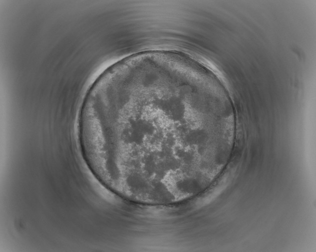 X0000113600803200910091519