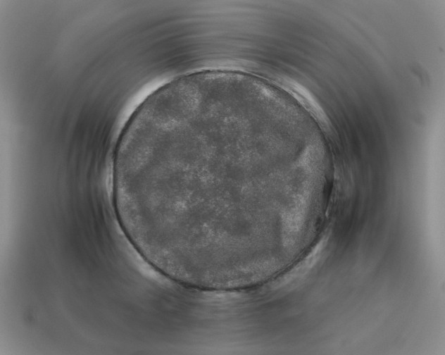 X0000113600804200910091519