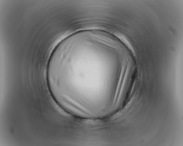 X0000113600805200910091519