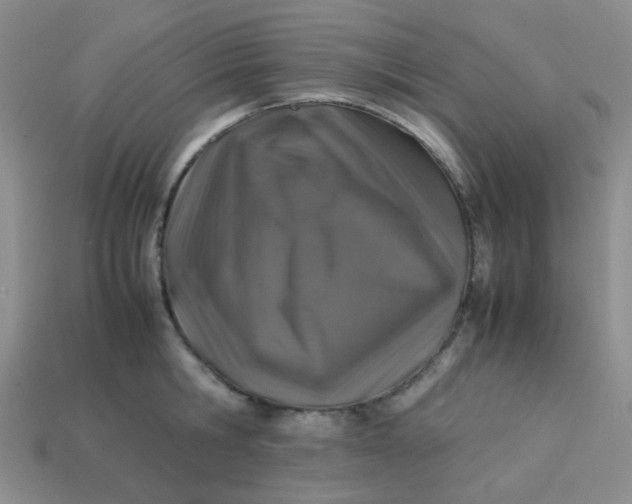 X0000113600806200910091519