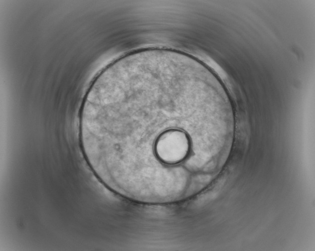 X0000113600807200910091519