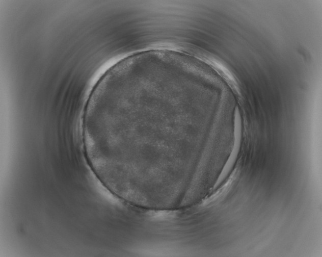 X0000113600808200910091519