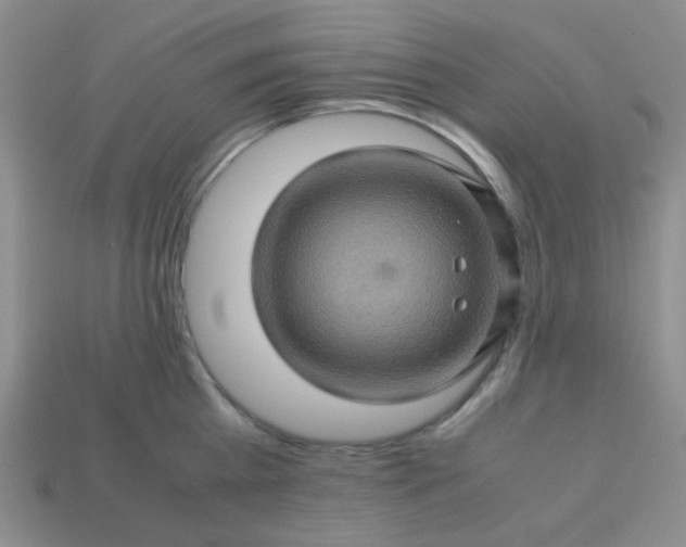 X0000113600809200910091519