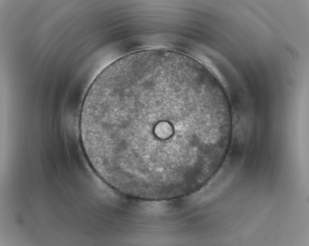 X0000113600810200910091519