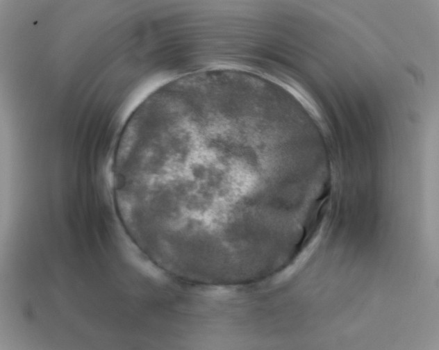 X0000113600814200910091519