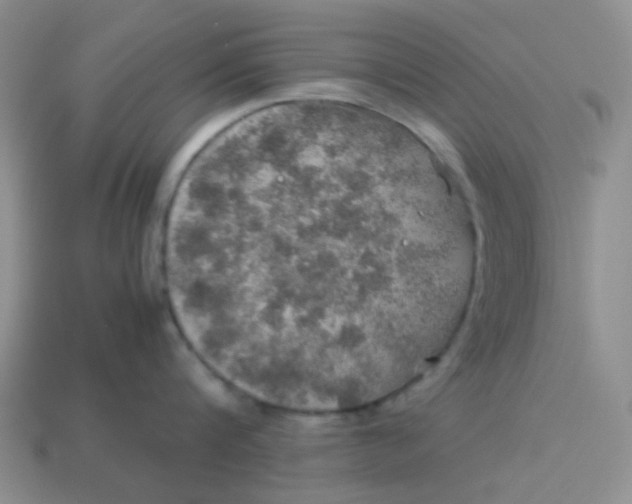 X0000113600816200910091519