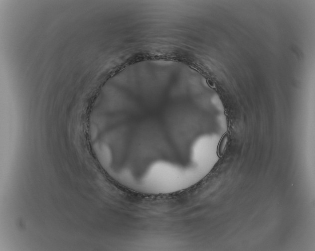 X0000113600817200910091519