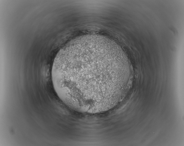 X0000113600818200910091519