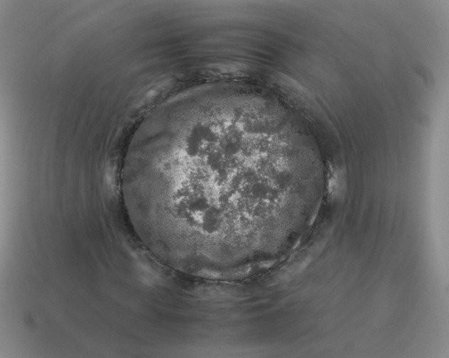 X0000113600819200910091519