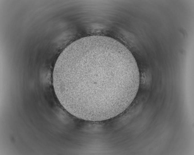 X0000113600820200910091519