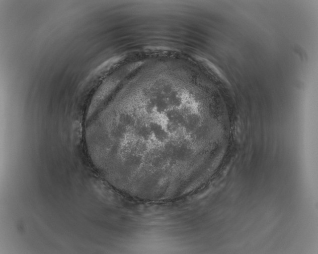 X0000113600821200910091519