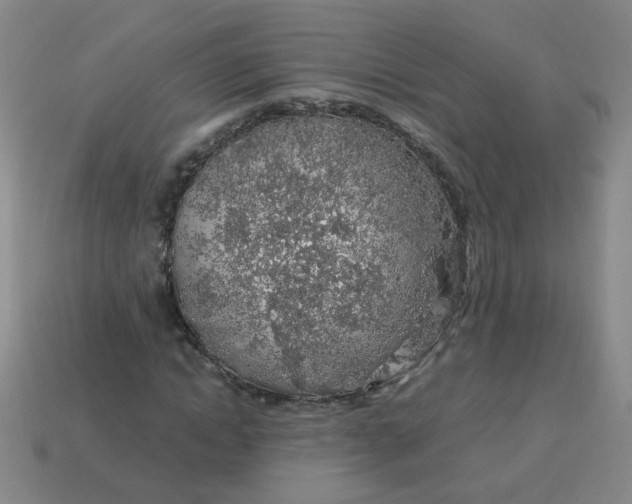 X0000113600822200910091519