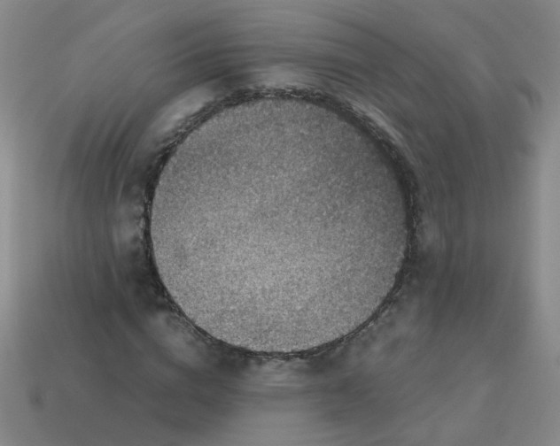 X0000113600824200910091519