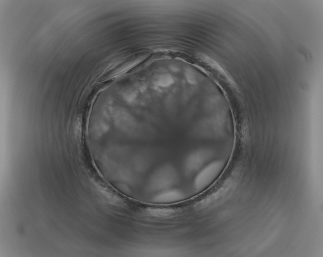 X0000113600825200910091519