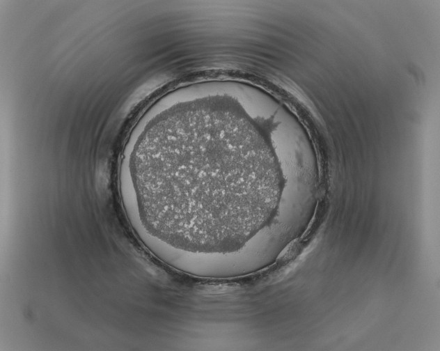 X0000113600826200910091519