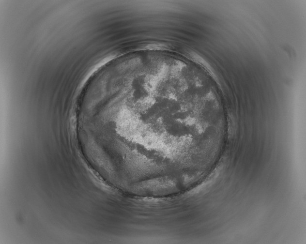 X0000113600827200910091519