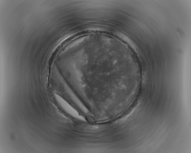 X0000113600829200910091519