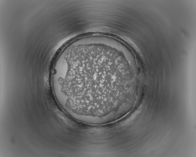 X0000113600830200910091519