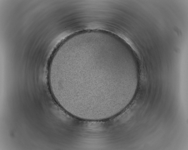 X0000113600832200910091519