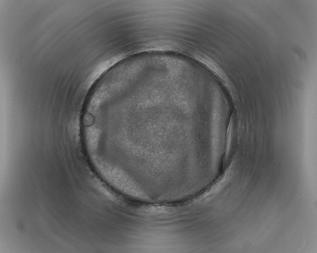 X0000113600834200910091519