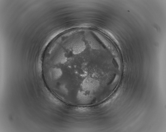 X0000113600835200910091519