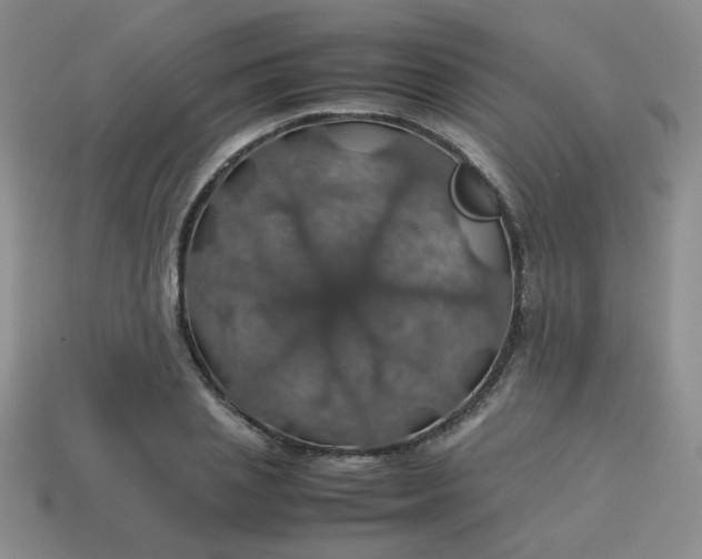 X0000113600837200910091519