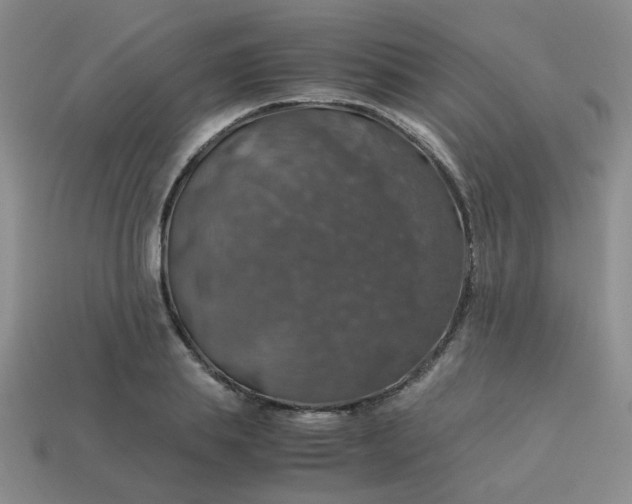 X0000113600839200910091519