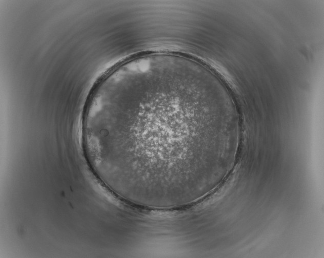 X0000113600840200910091519