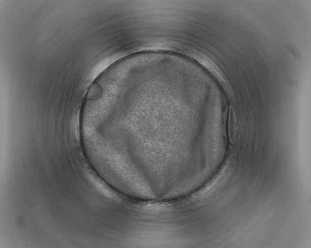 X0000113600842200910091519