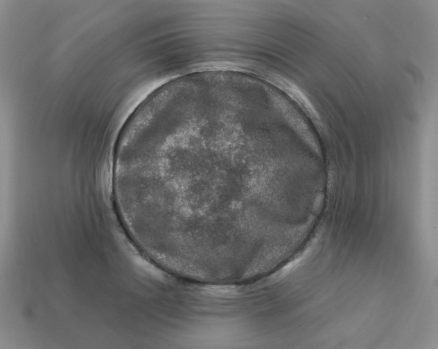 X0000113600844200910091519