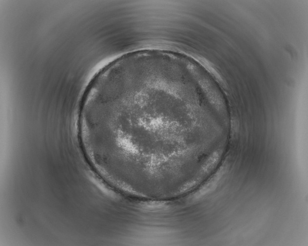 X0000113600846200910091519