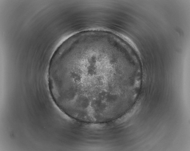 X0000113600847200910091519