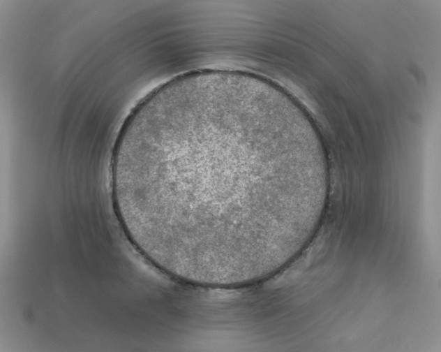 X0000113600848200910091519