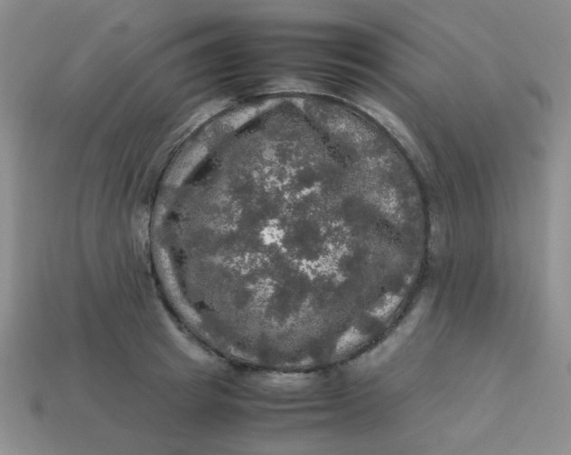 X0000113600849200910091519