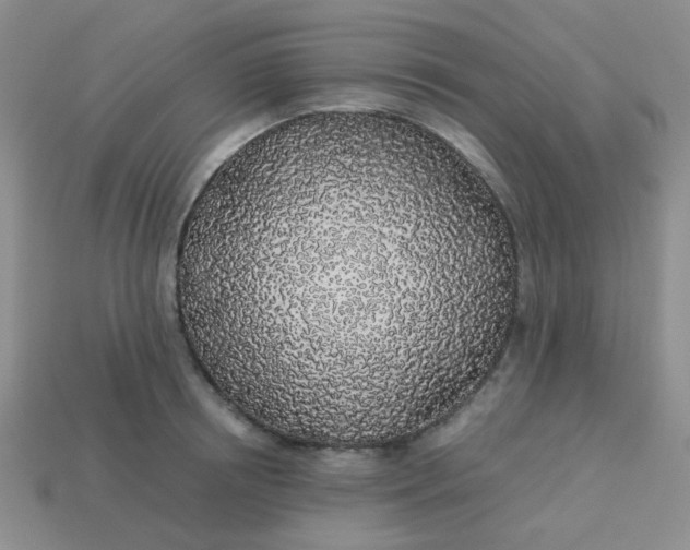 X0000113600850200910091519